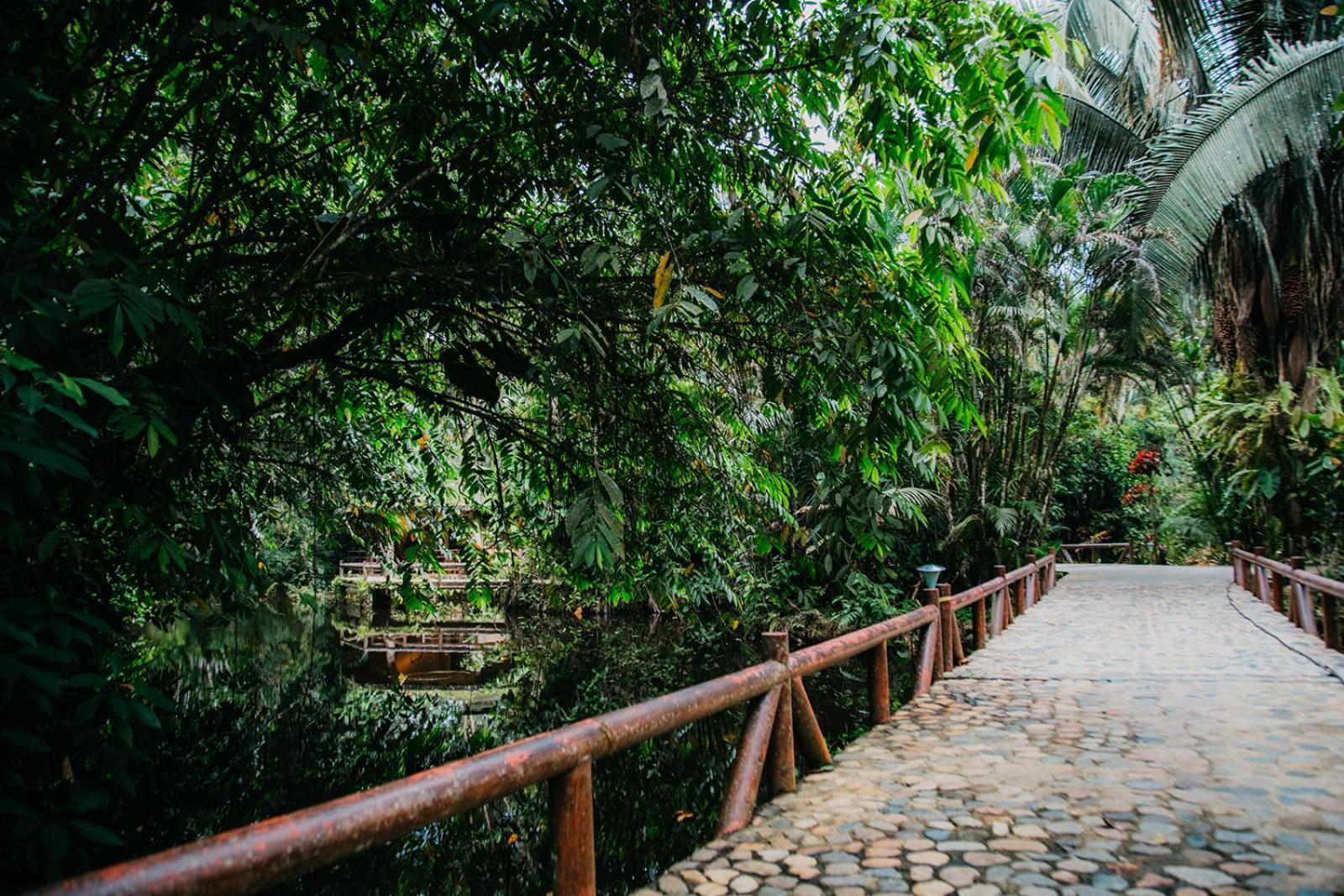 Arahuana Jungle Resort & Spa Tena Exterior photo