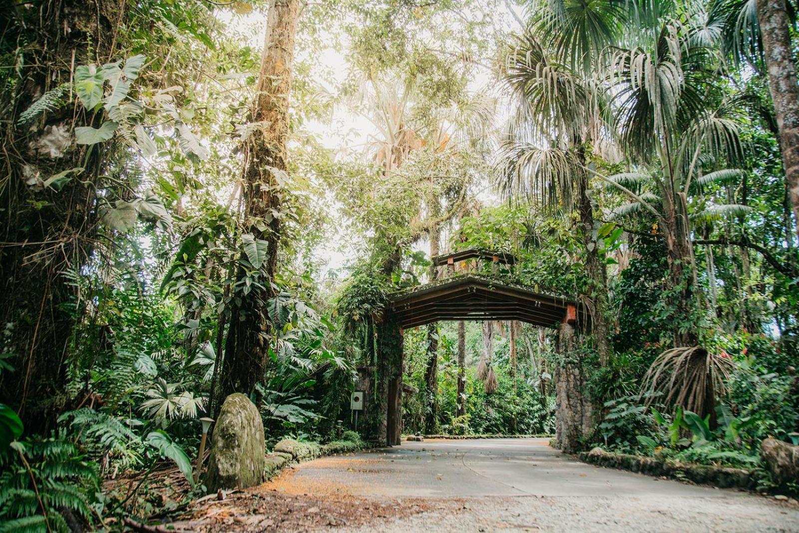 Arahuana Jungle Resort & Spa Tena Exterior photo